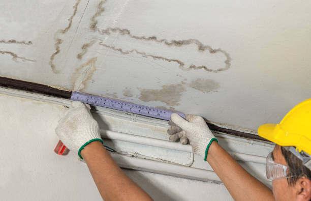 Reliable Burst Pipe Cleanup contractor in Madison, MN by Water Damage Irwin